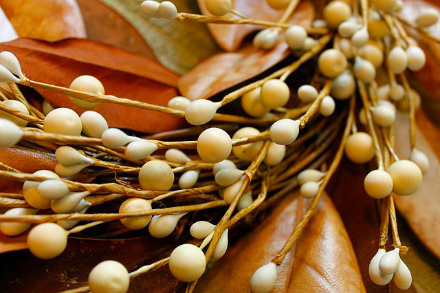 Mag-nolia-fying a Fall Wreath