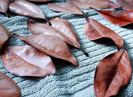 Mag-nolia-fying a Fall Wreath