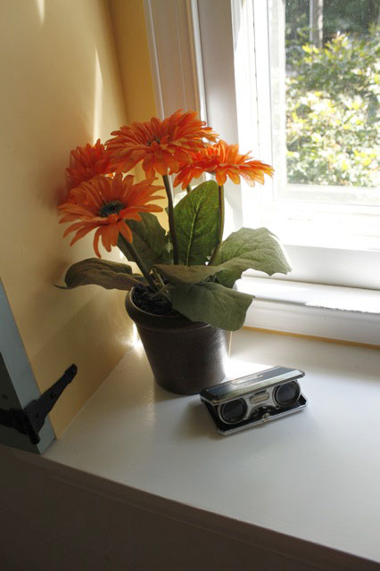 flowersincorner