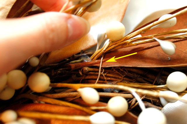 Mag-nolia-fying a Fall Wreath