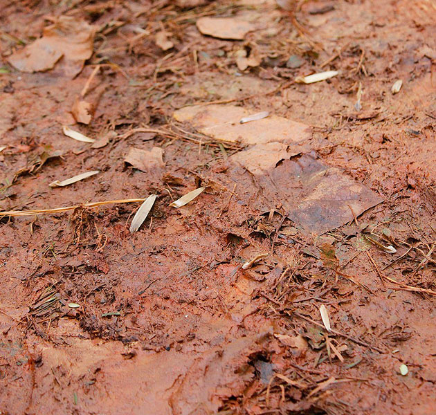 mud