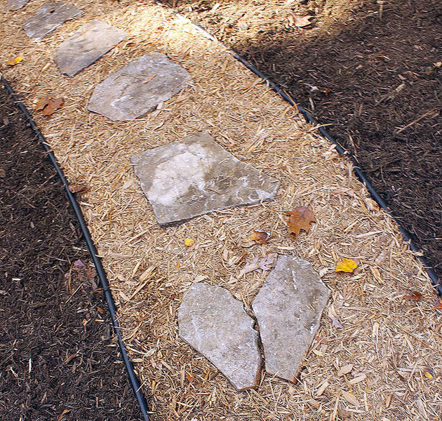 stones sitting in mulch