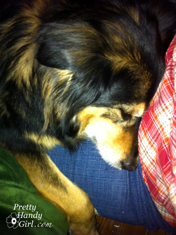 BuddyonLap