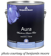 aura-paint Painting Like a Pro