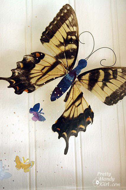 Close_up_butterfly Big Butterfly Window
