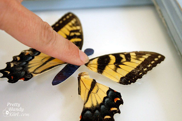 glue_down_wings Big Butterfly Window