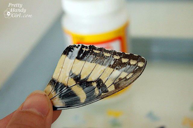 mod_podge_butterfly_wing Big Butterfly Window
