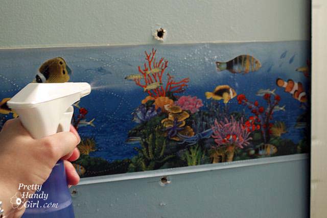 spraying_DIF_on_wallpaper Removing Wallpaper Borders