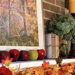 2011 Fall Home Tour