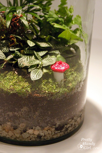 close_up_mushroom