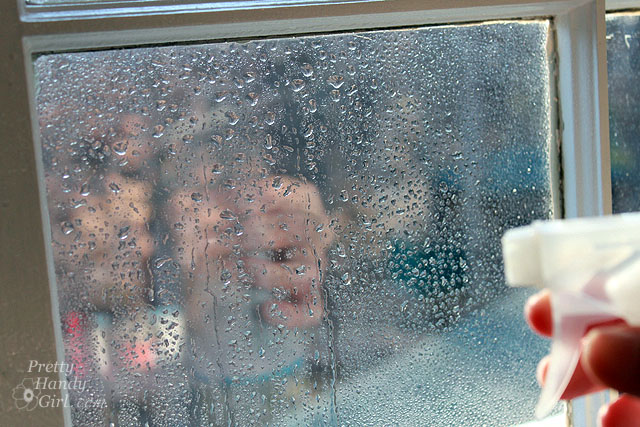 spray_window_shaklee