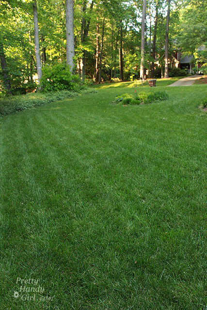 after_lawn_beauty_shot