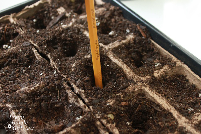 inserted_pencil_in_dirt How to Root Plant Clippings