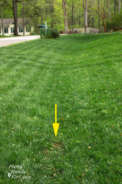 lawn_with_arrow