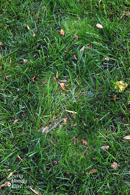 patched_spot_after