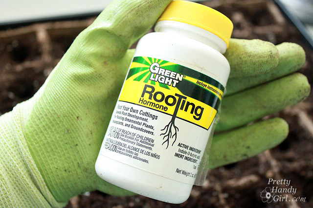 rooting_hormone How to Root Plant Clippings