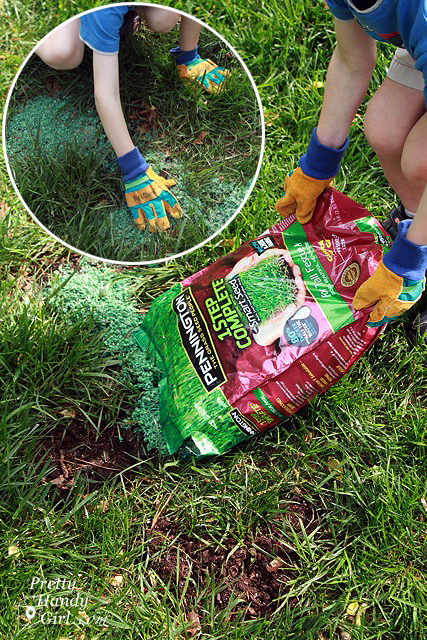 spread_grass_seed