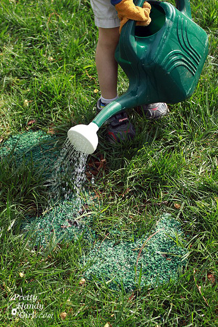 water_grass_seed
