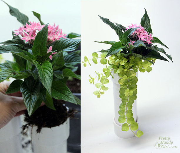planted_tube