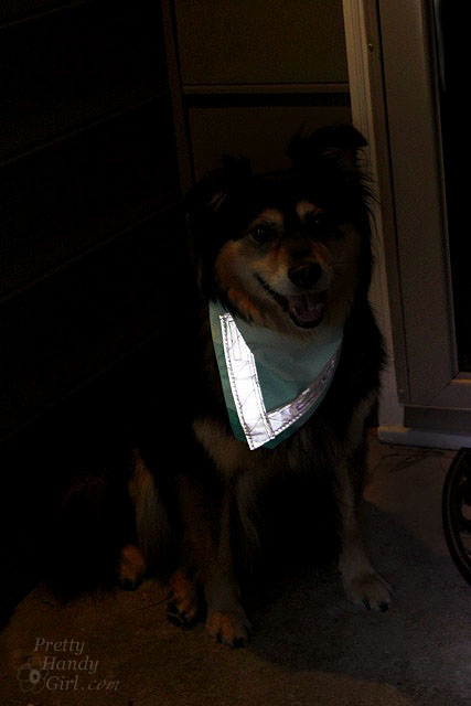 buddy_night_reflector_bandana