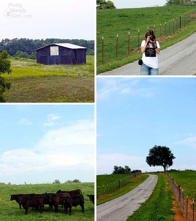 Kentucky_scenery
