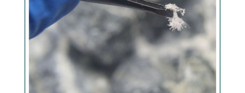 Asbestos Removal and Everything you wanted to know about asbestos