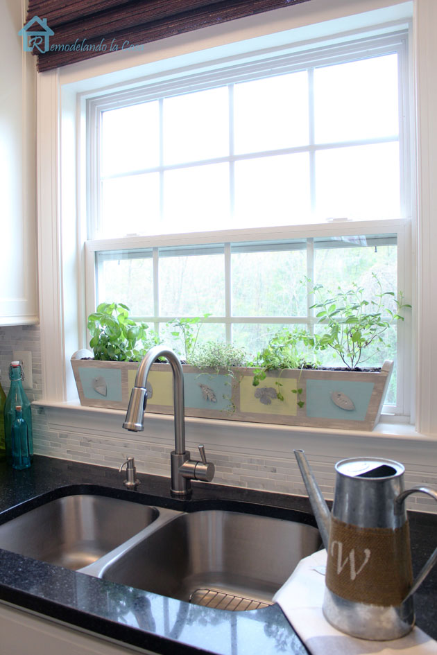 kitchen window herb garden final12