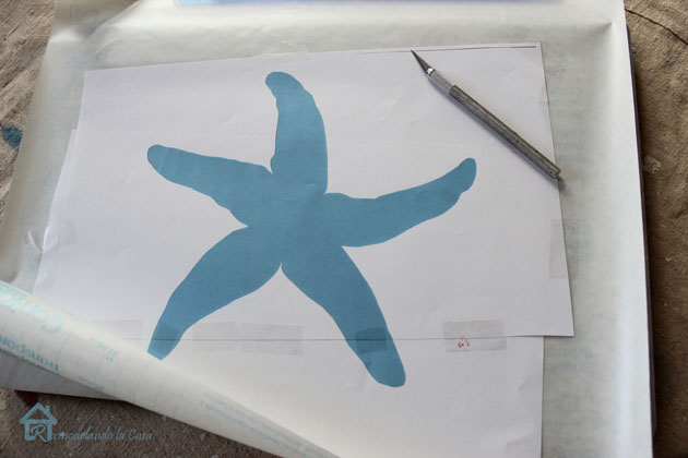 starfish profile
