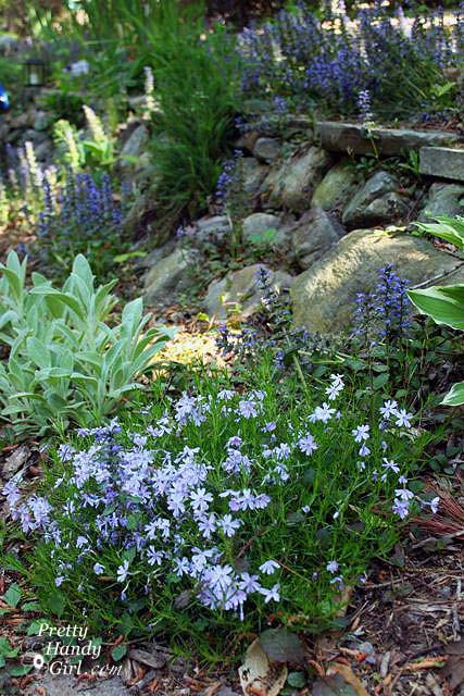 stone_wall_blooming