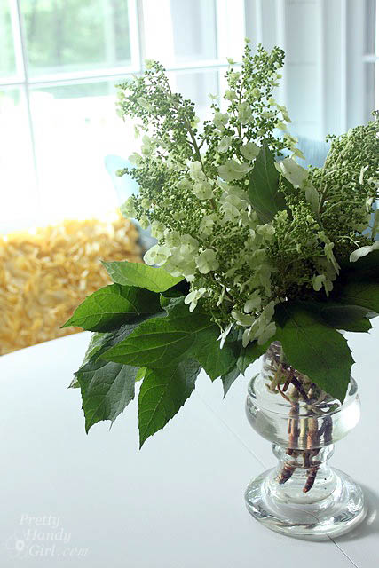 oak_leaf_hydrangeas
