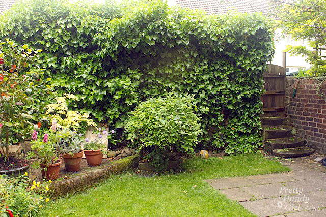 backyard_courtyard