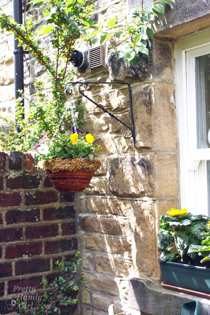 hanging_flowers