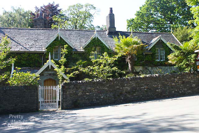 ivy_covered_house