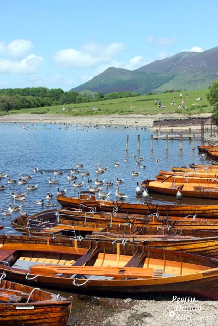 row_boats