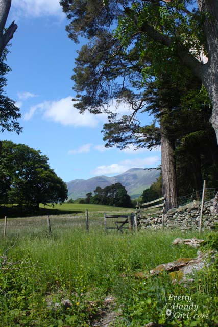 rustic_gate_view