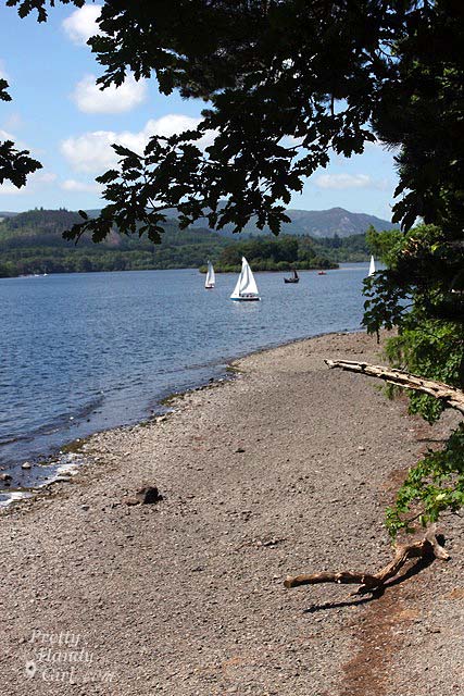 sailboats