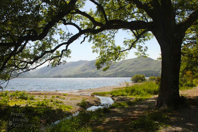 water_stream_into_lake