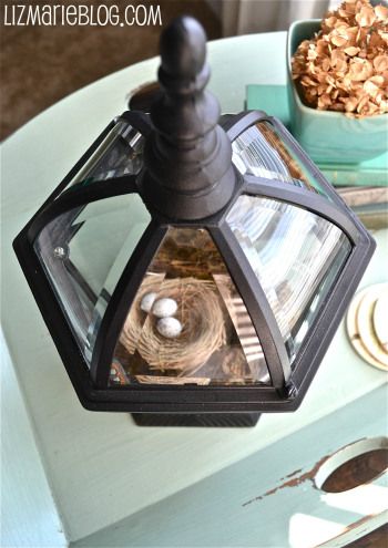 Old Light Fixture Terrarium