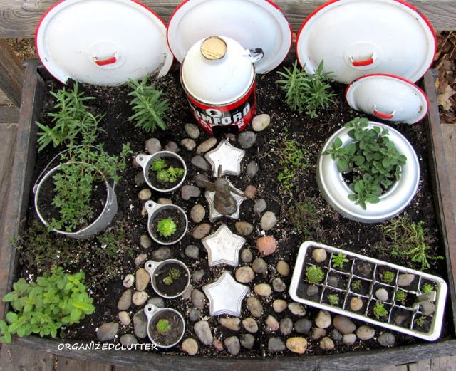 Kitchen Fairy Garden
