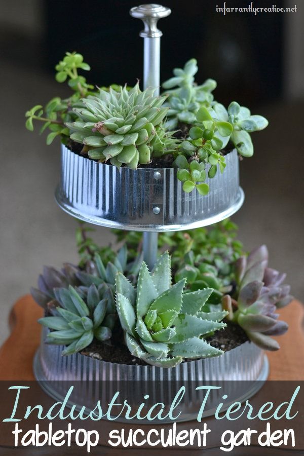 Industrial Tiered Tabletop Garden