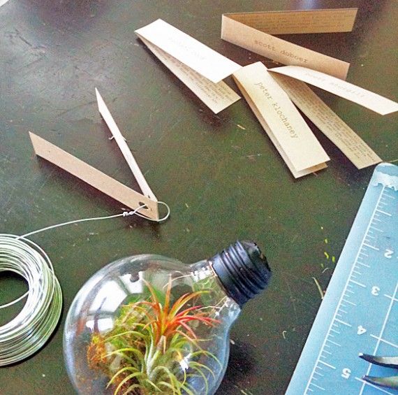 Lightbulb Terrarium