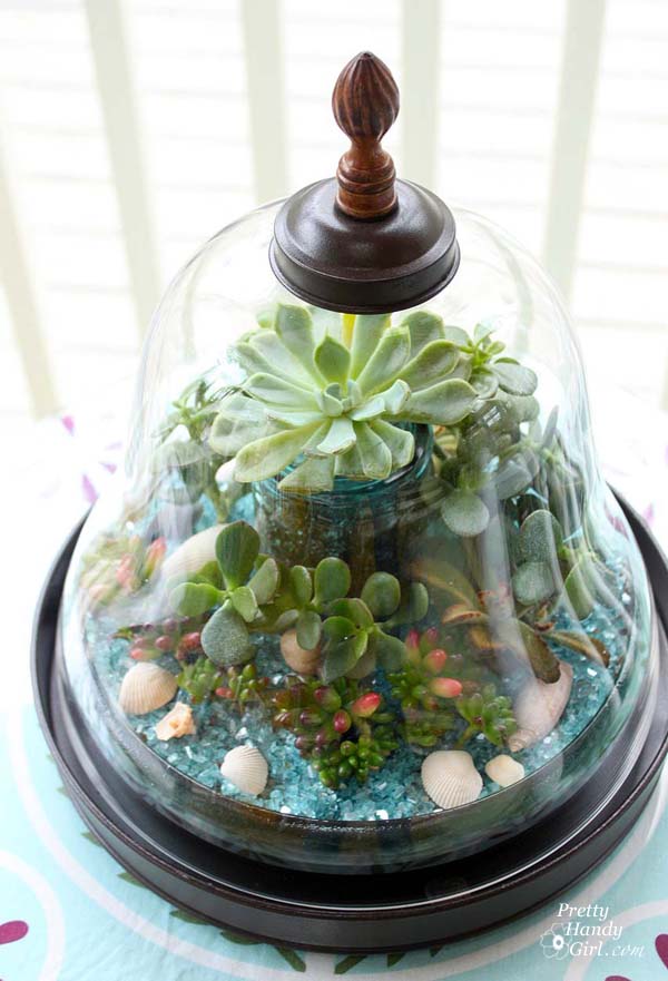 Succulent_garden_in_bell_terrarium