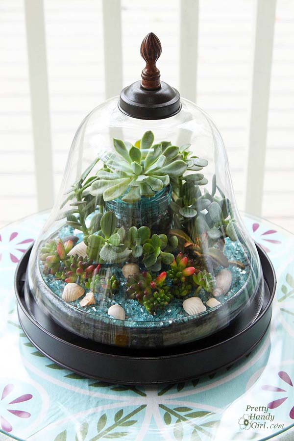 Succulent_garden_in_bell_terrarium_2