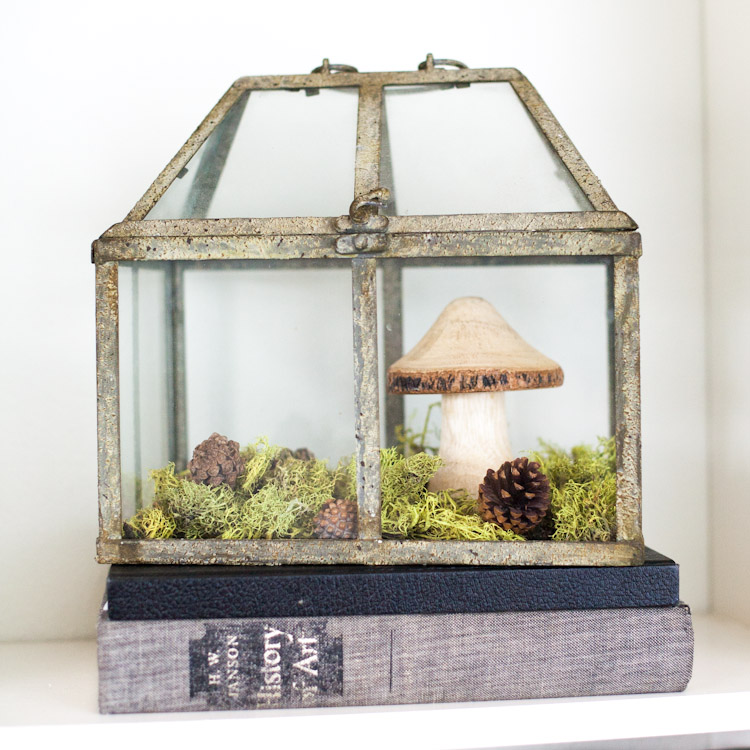 Faux Terrarium