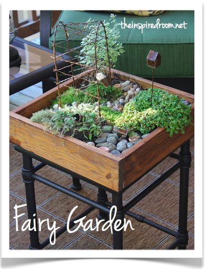Miniature Fairy Garden