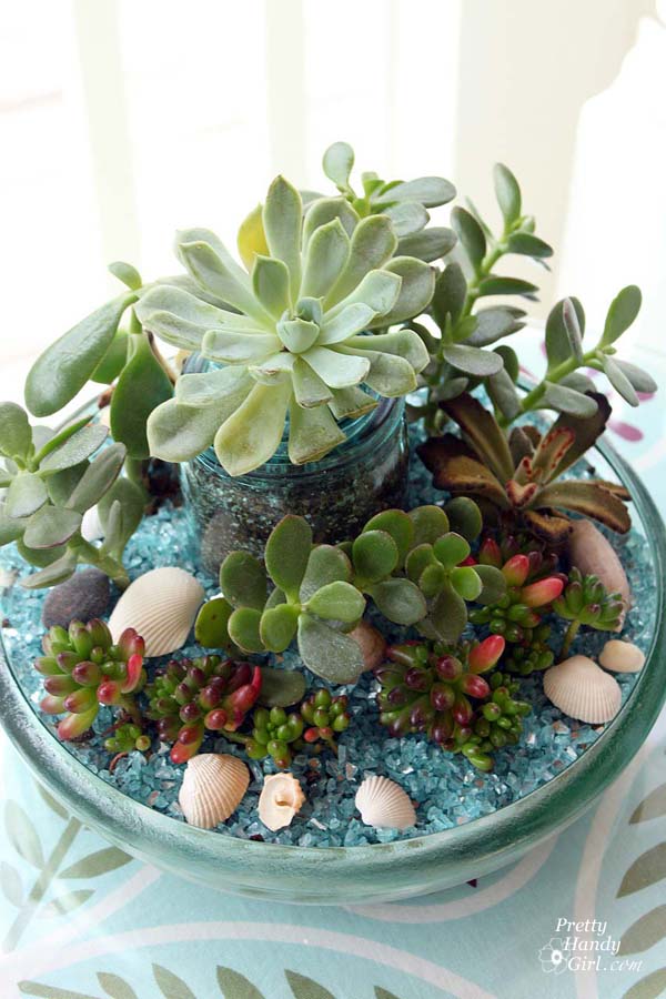filled_garden_without_glass