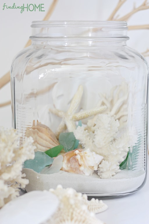 finding_home_beach_terrarium
