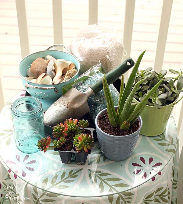 materials_for_succulent_terrarium
