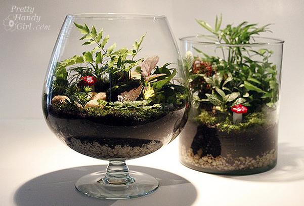 Make Your Own Terrariums