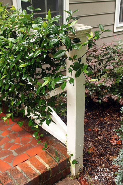 How to Clean Your House Exterior without a Pressure Washer or Ladder